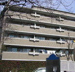 東京都江戸川区本一色１丁目 賃貸マンション 4LDK以上
