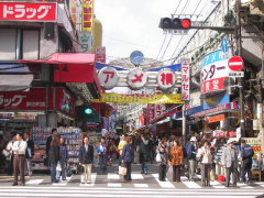 お買物情報アメ横　アメヤ横丁